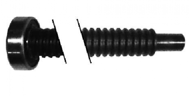 041ASWG-0556 - Spindel für HC260ML, SCS200, TPD10