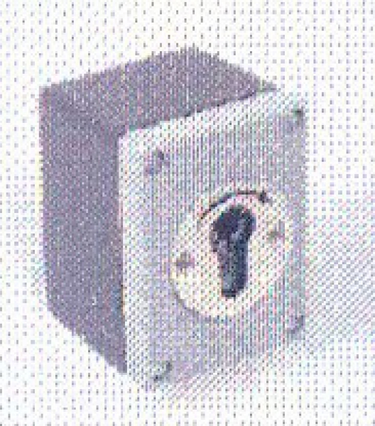 Tousek - 13360030 - J-APZ 1-1R Aufputzschlüsselschalter, einseitig rastend