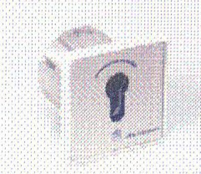 Tousek - 13370300 - MR 1-1T, Unterputzschlüsselschalter im Leichtmetallgehäuse IP54, einseitig tastend