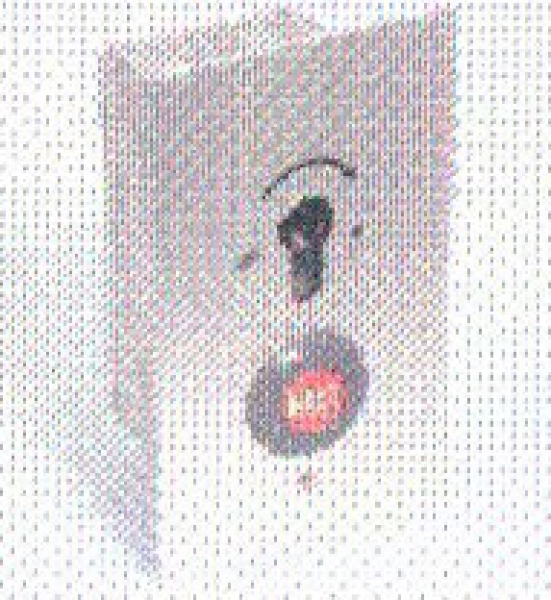 Tousek - 13370210 - J-EPZ 2-1 T Unterputzschlüsselschalter, einseitig tastend + HALT Taste