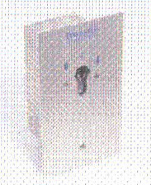 Tousek - 13370030 - GS EPZ 1-2T Unterputzschlüsselschalter, ZU-AUF-Taster