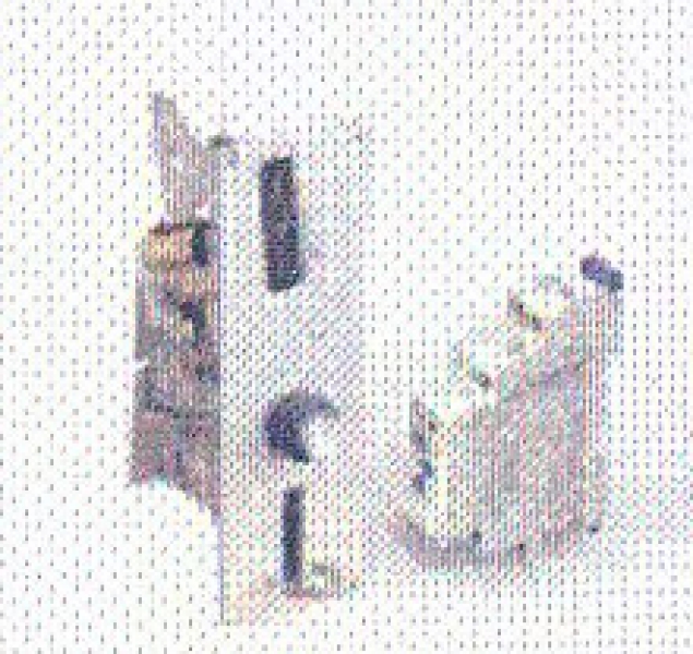 Tousek - S34202 - Münzprüfer MP11, mechanischer Münzprüfer für Wertmarken inkl. Wischrelais